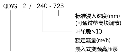 QDYG係列浸入式變頻高壓泵型號含（hán）義